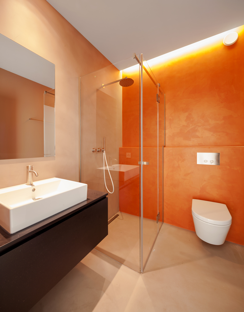 Accessible Bathroom Design