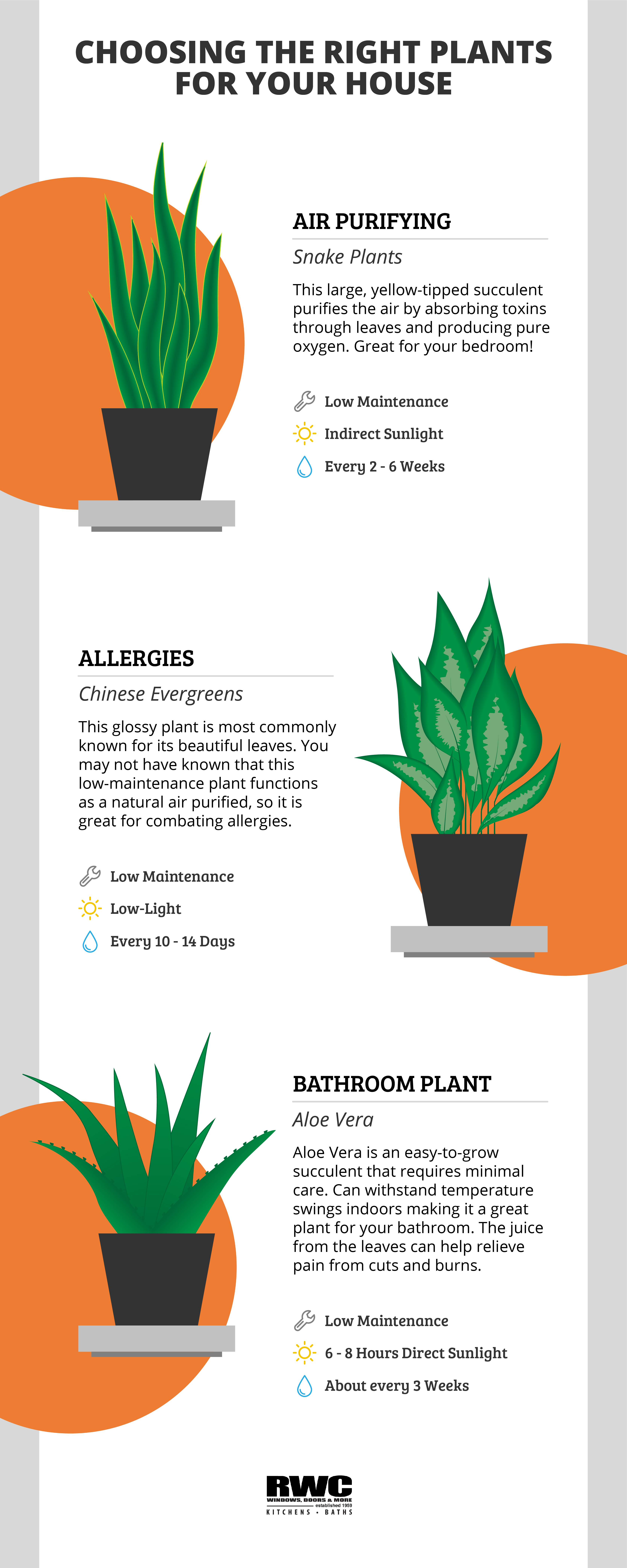 Best air purifying indoor plants, best indoor plants for allergies, house plant organization, benefits of plants in bathrooms, bathroom plant ideas