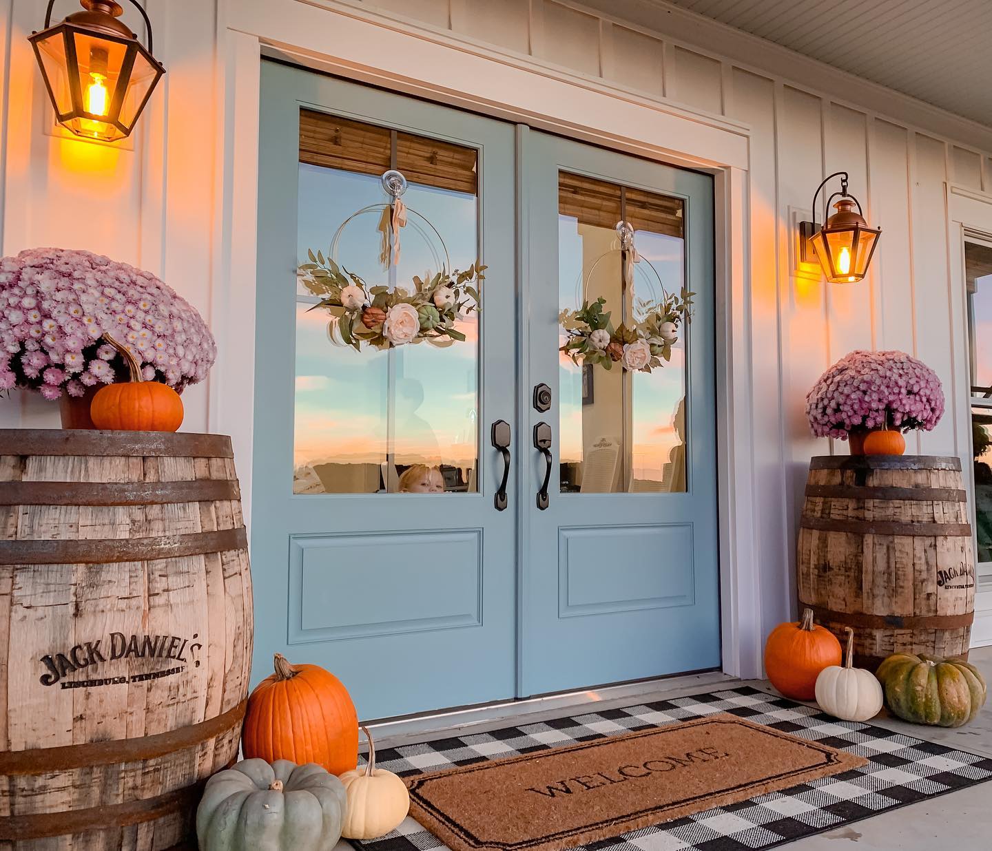 double sleek entry door